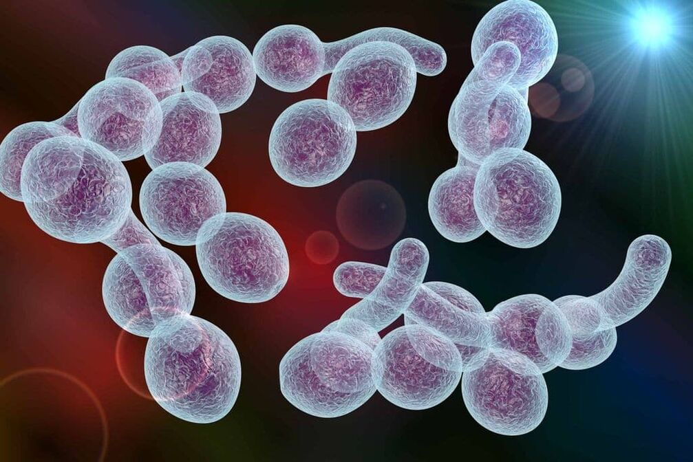 Erreger der bakteriellen Prostatitis bei Männern